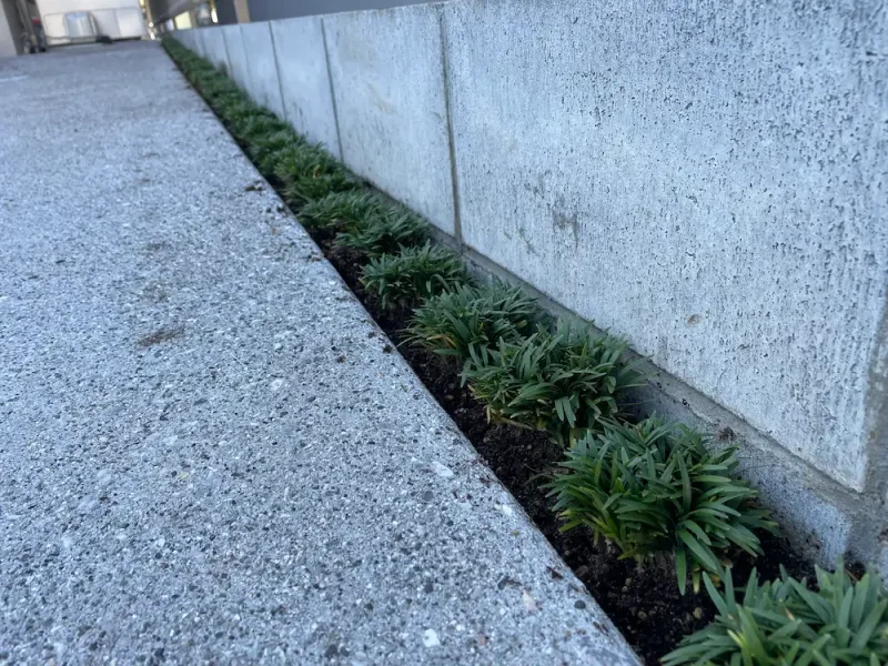 植栽を取り入れた駐車場