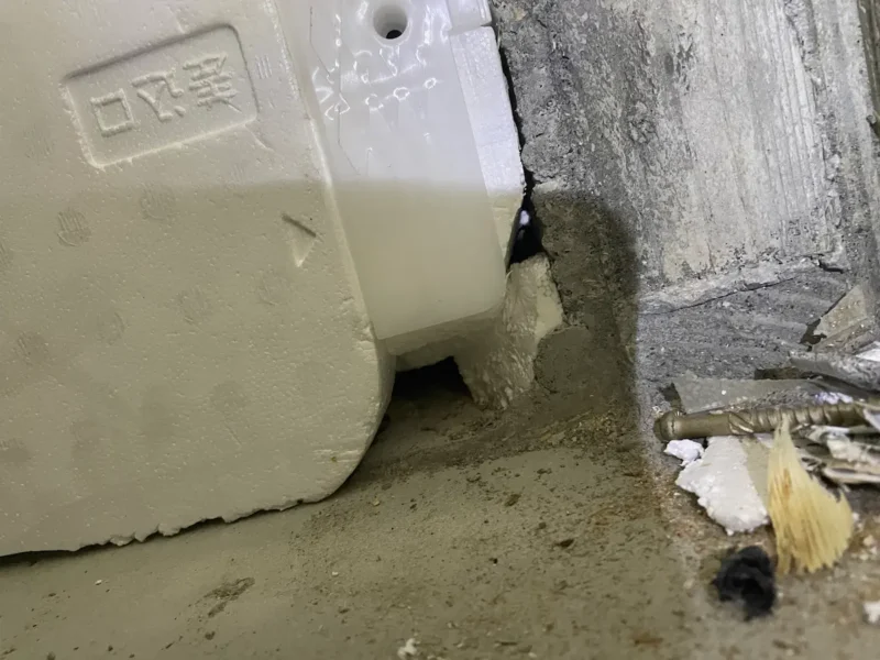 人通口蓋の周辺