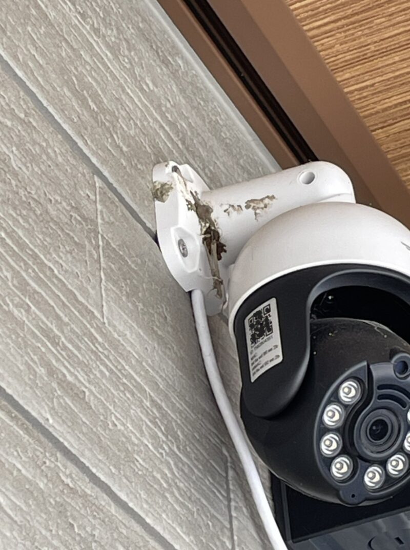 防犯カメラに作っている巣
